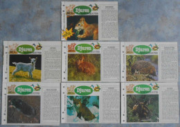 "Djuren Runt Husknuten"; 7 Pcs From Weekly Newspapers (in Swedish) - Dieren