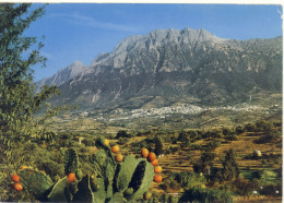 OLIENA -NUORO -PANORAMA 1968 - Nuoro