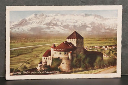 SCHLOSS VADUZ GEGEN DIE SCHWEIZERBERGE , LOT 174 - Liechtenstein