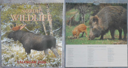 Calendar: Nordic Wildlife 2000 - Formato Grande : 1991-00