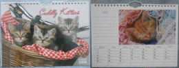 Calendar: Cuddly Kittens 2006 - Groot Formaat: 2001-...