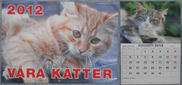 Calendar: Våra Katter 2012 - Groot Formaat: 2001-...