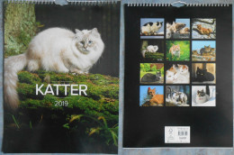 Calendar: Katter 2019 - Tamaño Grande : 2001-...