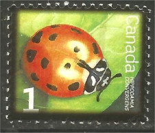 XZ01-0015 Coccinelle Canada Ladybug Mariquita - Coléoptères