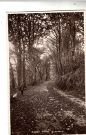 DB65. Vintage Tucks Postcard.  Hobby Drive, Clovelly, Devon. - Clovelly