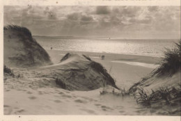 134676 - St. Peter-Ording - Dünen Und Strand - St. Peter-Ording