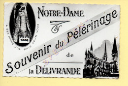 14. LA DELIVRANDE – Souvenir Du Pèlerinage - Multivues / CPSM (voir Scan Recto/verso) - La Delivrande