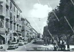 Cl402 Cartolina Campobasso Citta' Corso Vittorio Emanuele Molise - Campobasso