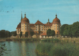 109398 - Moritzburg - Barockmuseum - Moritzburg