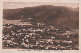 18640 - Bad Blankenburg - Bad Blankenburg - Eingang Schwarzatal - Ca. 1955 - Bad Blankenburg