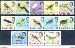 Definitiva. Fauna. Uccelli 1963. - Gambie (1965-...)