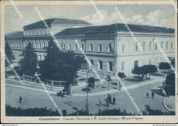 Cl527 Cartolina Campobasso Convitto Nazionale E R.liceo Ginnasio Mario Pagano - Campobasso