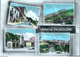 Cl541 Cartolina Saluti Da Frosolone Provincia Di Isernia Molise - Campobasso