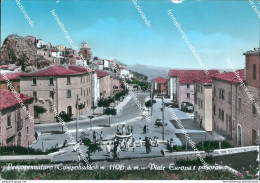 Cl542 Cartolina Pescopennataro Viale Europa E Panorama Provincia Di Campobasso - Campobasso