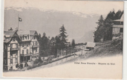 HOTEL ROSA BIANCHE MEYENS - Sion