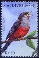 Maldives 2000 MNH, Birds Island Thrush - Uccelli Canterini Ed Arboricoli