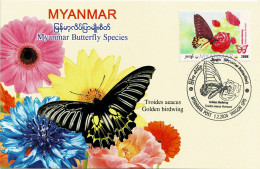 MYANMAR 2024 GOLDEN BIRDWING BUTTERFLY MAXIMUM CARD ONLY 100 ISSUED - Vlinders