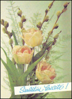 1991  Moldova Postcard USSR. Happy Holidays. Roses, Flowers, Bouquet, Moldovan Language. Easter. Mint - Rose