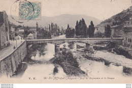 Z19-12) SAINT AFRIQUE (AVEYRON)  PONT DU CENTENAIRE ET LA SORGUE - ( 2 SCANS ) - Saint Affrique