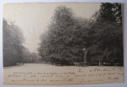 BELGIQUE - BRUXELLES - Bois De La Cambre - La Cloche - 1903 - Bosques, Parques, Jardines