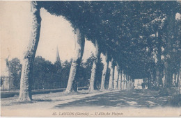 Q22-33) LANGON (GIRNDE) L' ALLEE DES PLATANES  -  (2 SCANS) - Langon
