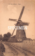 Molen Rijkevorsel - Rijkevorsel