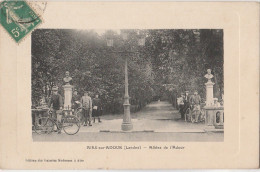 R14-40) AIRE SUR ADOUR (LANDES)  ALLEES DE L'ADOUR  - (ANIMEE - PERSONNAGES - HABITANTS) - Aire