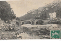 G21-82) SAINT ANTONIN (TARN ET GARONNE) VUE SUR L AVEYRON ET ROC D 'ANGLARS - (LAVEUSE - LAVANDIERE) - Saint Antonin Noble Val