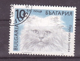 Bulgarien Michel Nr. 3812 Gestempelt (1,2,3) - Used Stamps