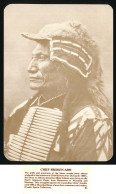 CPSM / CPM 11.1 X 16,1 Etats Unis USA Indien Sioux CHIEF BROKEN ARM  (légende En Photo) Old West Collectors Series - Autres & Non Classés
