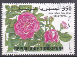 Rose - 1997 - Tunisia