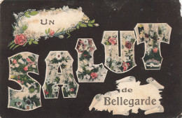 01-BELLEGARDE-N°T5291-E/0131 - Bellegarde-sur-Valserine