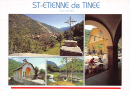 6-SAINT ETIENNE DE TINEE-N°C-3642-C/0041 - Saint-Etienne-de-Tinée