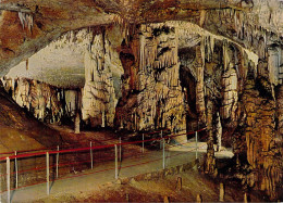 Postojna - Les Grottes - Slowenien