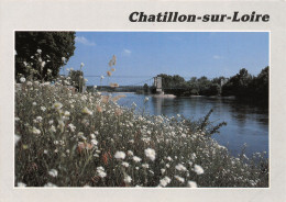 45-CHATILLON SUR LOIRE-N°C-3645-D/0197 - Chatillon Sur Loire