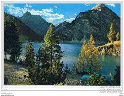 LIVIGNO (SO):  IL  NUOVO  LAGO  -  PER  LA  SVIZZERA  -  FG - Water Towers & Wind Turbines