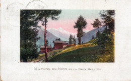 (Suisse) MAYENS DE SION Et La Dent Blanche Oblitéré 29 07 1910 - Sion