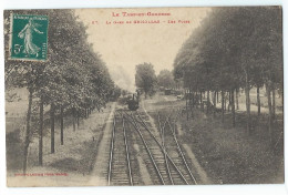 [82] Tarn Et Garonne > Grisolles La Gare Les Voies - Grisolles