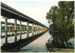 Etats Unis - The Atchafalaya Basin - The Atchafalaya River Is A Former Path Of The Mississippi - Etat De Louisiane - Lou - Sonstige & Ohne Zuordnung