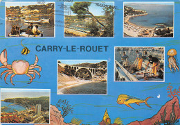 13-CARRY LE ROUET-N°C-3652-D/0079 - Carry-le-Rouet