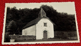 HERBEUMONT  -  St Roch - Chapelle  Castrale De L'ancien Château-Fort - Herbeumont