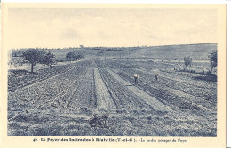 [82] Tarn Et Garonne > Foyer Des Indirectes De Realville  Le Jardin Potager - Realville