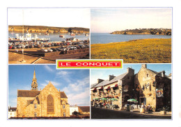 29-LE CONQUET-N°C-3654-A/0131 - Le Conquet