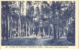 [82] Tarn Et Garonne > Foyer Des Indirectes De Realville Dans Le Parc Le Bois De Pins Maritimes - Realville