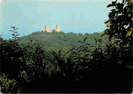 67 - Barr - Le Château D'AndIau  - CPM - Voir Scans Recto-Verso - Barr