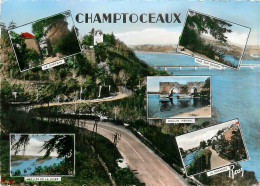 49* CHAMPTOCEAUX  Multivues  (CPSM 10x15cm)           RL17,1277 - Champtoceaux
