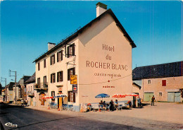 48* ST CHELY D APCHER Hotel « du Cheval Blanc» (CPM 10x15cm)           RL17,1245 - Saint Chely D'Apcher