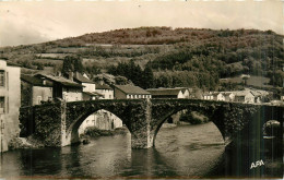 81* BRASSAC Le Pont Vieux  (CPSM 9x14cm)    RL28,0686 - Brassac