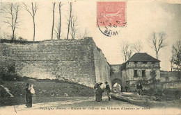 80* PICQUIGNY  Ruines Du Chateau Des Vidames      RL28,0424 - Picquigny