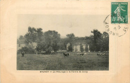 91* BRUNOY  Paturage De La Ferme De Jarcy       RL28,1914 - Fermes